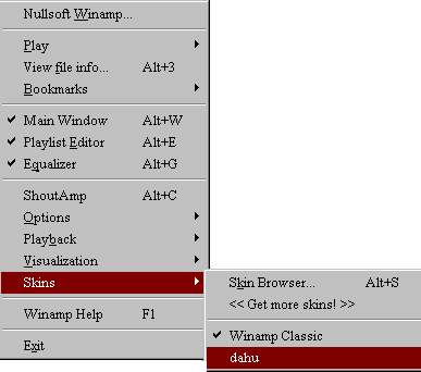 skin avec winamp